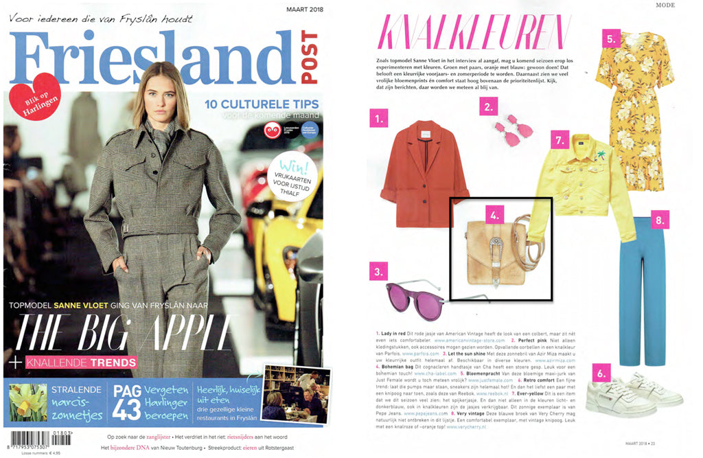 CHA mentioned in the Friesland Post